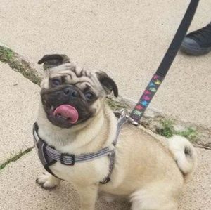 Meet your Posher, Ayssa